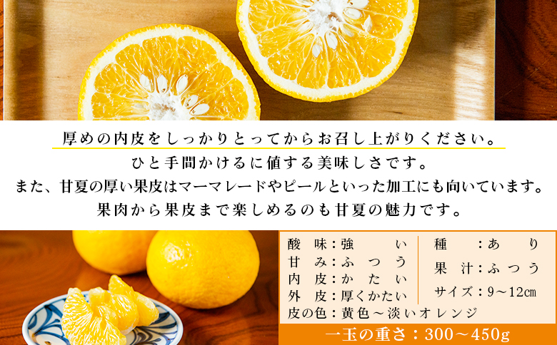 【先行予約】＜無茶々園の甘夏 約7kg＞ 果物 あまなつ みかん ミカン 蜜柑 柑橘 フルーツ 期間限定 季節限定 食べて応援 特産品 愛媛県 西予市