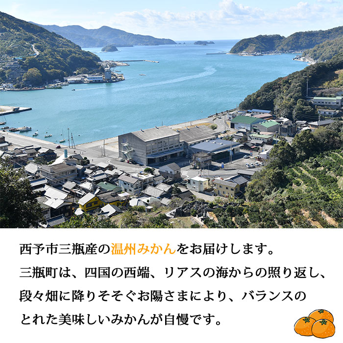 ïŒJAã«ããã æž©å·ã¿ããïŒã¿ãªã®ïŒçŽ5kgïŒ æç© ãã ãã® ãããã
ã ãã«ã³ èæ ææ©é¡ ãã«ãŒã ç¹ç£å 西å®å蟲æ¥ååçµå æåªç 西äºåž