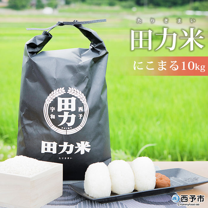 ＜令和6年産 田力米 10kg にこまる＞ お米 こめ コメ 愛媛県 西予市