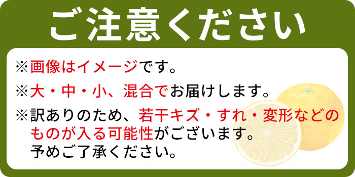 ＜訳あり でん助農園の温州みかん 極早生 約10kg＞ 果物 フルーツ ミカン オレンジ 柑橘 自宅用 家庭用 産地直送 西宇和産 愛媛県 西予市