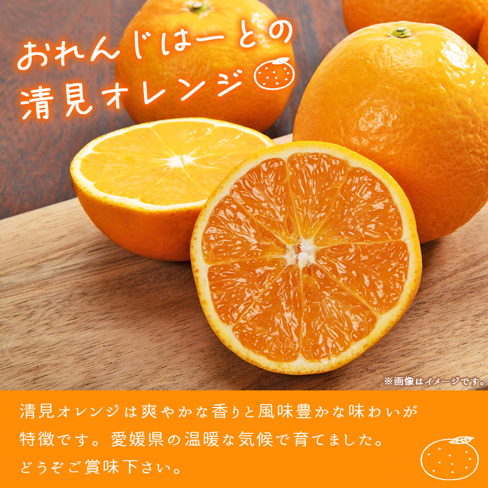 ＜清見オレンジ 家庭用 約2kg＞ 柑橘 みかん ミカン 蜜柑 果物 くだもの フルーツ きよみ キヨミ 訳あり ご自宅用 国産 愛媛産 特産品 おれんじはーと 西宇和 愛媛県 西予市