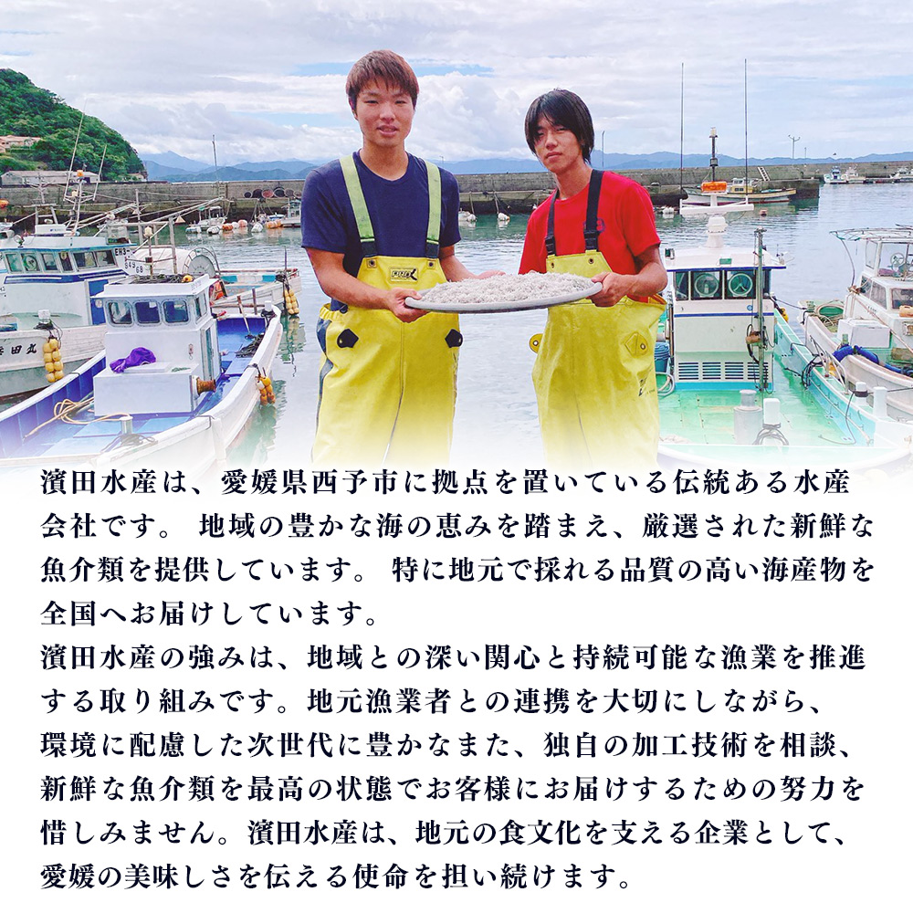 ＜漁師さん自慢のしらす干し 合計500g（100g×5パック）＞ シラス 魚介類 さかな 海産物 海鮮 海の幸 小分け 国産 ご飯のお供 丼 おつまみ 晩酌 おかず おやつ 特産品 産地直送 濵田水産 愛媛県 西予市