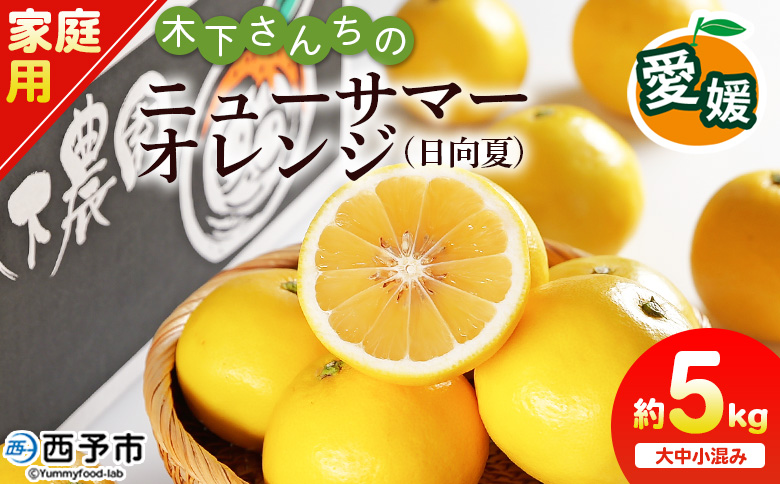 [木下さんちのニューサマーオレンジ 家庭用 約5kg(大中小サイズ混み)] 柑橘類 日向夏 ミカン 蜜柑 果物 くだもの フルーツ 国産 特産品 木下農園 愛媛県 西予市[常温]『2027年4月上旬〜5月中旬に順次出荷』