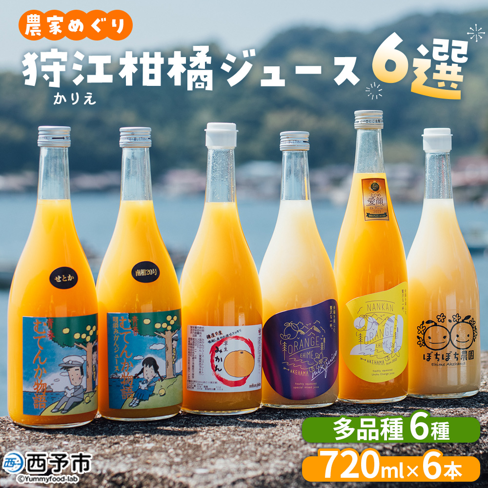 ＜農家めぐり 狩江柑橘ジュース 6選（多品種）＞ 多品種 アソート 愛媛県産 飲料 ジュース 国産 みかん 蜜柑 ミカン ストレートジュース 果汁 セット 飲み比べ 詰合せ 6本 企業組合かりエンジョイ 愛媛県 西予市 【常温】『4月中旬以降順次出荷予定』