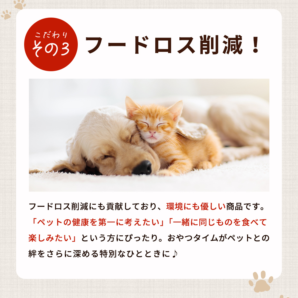 ïŒCalWan(ã«ã«ã¯ã³)ïŒCalNyan(ã«ã«ãã£ã³) çé¯ãšéèMIX é£ã¹æ¯ã¹ã»ãã 60gå
¥ãÃ6ããã¯ïŒ è©°åã ããããã〠æäœã æåªçç£ SDGs 人ãé£ã¹ãã æ 逿ºç¹ 逿®çé¯ ããŒããã¹ æ ªåŒäŒç€ŸSakuSaku æåªç 西äºåž