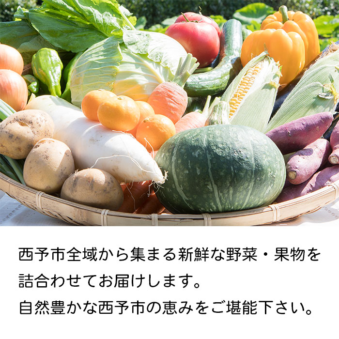 せいよ旬の野菜・果物詰合せセット