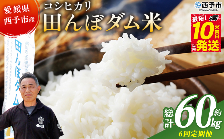 ＜令和8年産 愛媛県西予市産 コシヒカリ 田んぼダム米 10kg 6回定期便＞※最短10営業日以内に第1回目を出荷予定 10キロ こしひかり 西予応援米 宇和米 お米 コメ こめ 白米 精米 米 国産 愛媛県産 宇和町産 和みファーム 愛媛県 西予市【常温】UWN0006