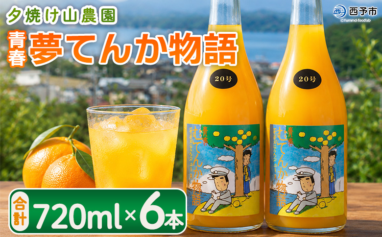 ＜青春 夢てんか物語 合計6本＞『1か月以内に順次出荷予定』 ジュース みかんジュース 温州みかん うんしゅうみかん  柑橘 果物 みかん 蜜柑 ミカン 詰め合わせ 詰合せ 夕焼け山農園 特産品 愛媛県 西予市【常温】