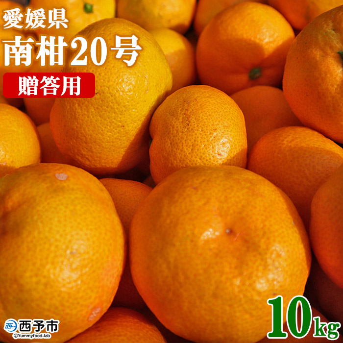 ＜愛媛県西予市産 温州みかん（南柑20号）贈答用 約10kg＞ 果物 くだもの ミカン ギフト 柑橘 フルーツ 産地直送 愛媛県 西予市