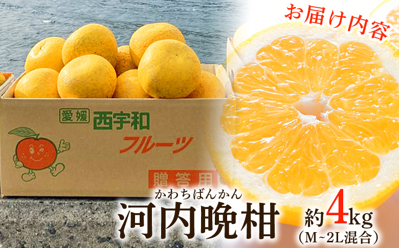 ＜愛媛県産 河内晩柑 約4kg（M～2L）＞ 柑橘 みかん フルーツ 和製グレープフルーツ ジューシー 初夏 旬 サイズ混合 西宇和 国産 さっぱり 甘い 農園オレンジとムラサキ 西予市