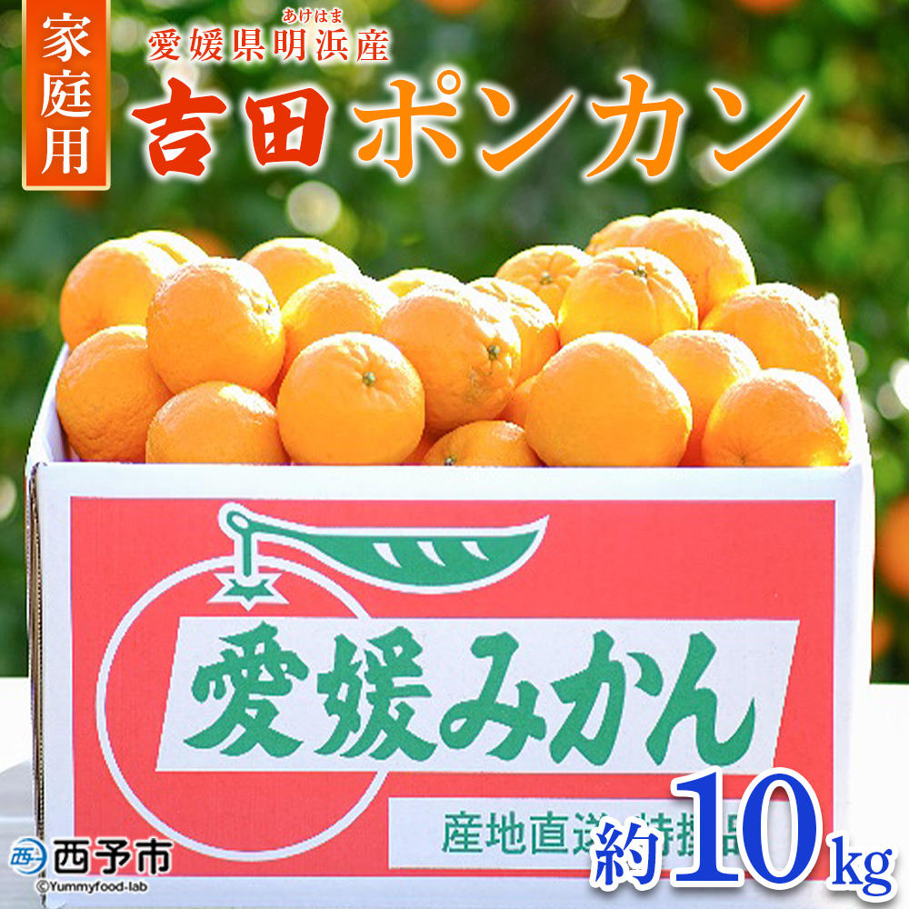 ＜吉田ポンカン 家庭用 約10kg＞ 果物 くだもの フルーツ みかん ミカン 柑橘 吉田ぽんかん よしだぽんかん ヨシダポンカン ぽんかん 訳あり ご自宅用 特産品 株式会社笑丸 愛媛県 西予市