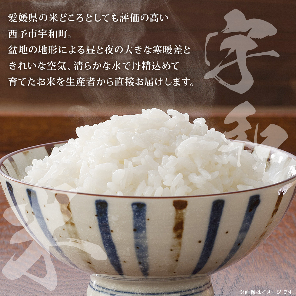＜令和7年産 松本農園直送 宇和米（コシヒカリ）約6kg＞ こしひかり 米 コメ こめ 白米 精米 うわまい ご飯 新鮮 6キロ 選べる お弁当 朝 昼 夜 国産 特産品 愛媛県 西予市