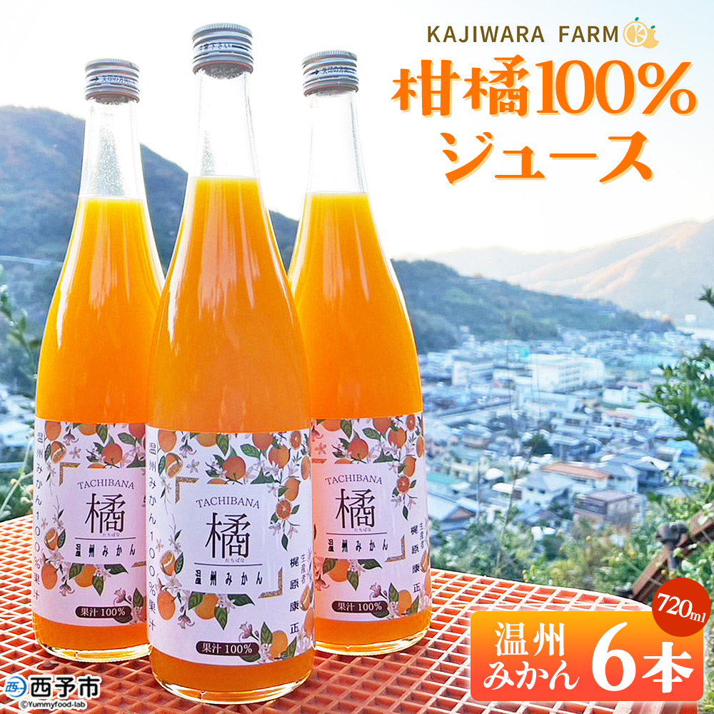 ＜柑橘100％ジュース （温州みかん6本）＞ 温州みかん ストレートジュース 果汁100％ ミカン 蜜柑 果物 柑橘 かじわらFARM 愛媛県 西予市【常温】『1か月以内に順次出荷予定』