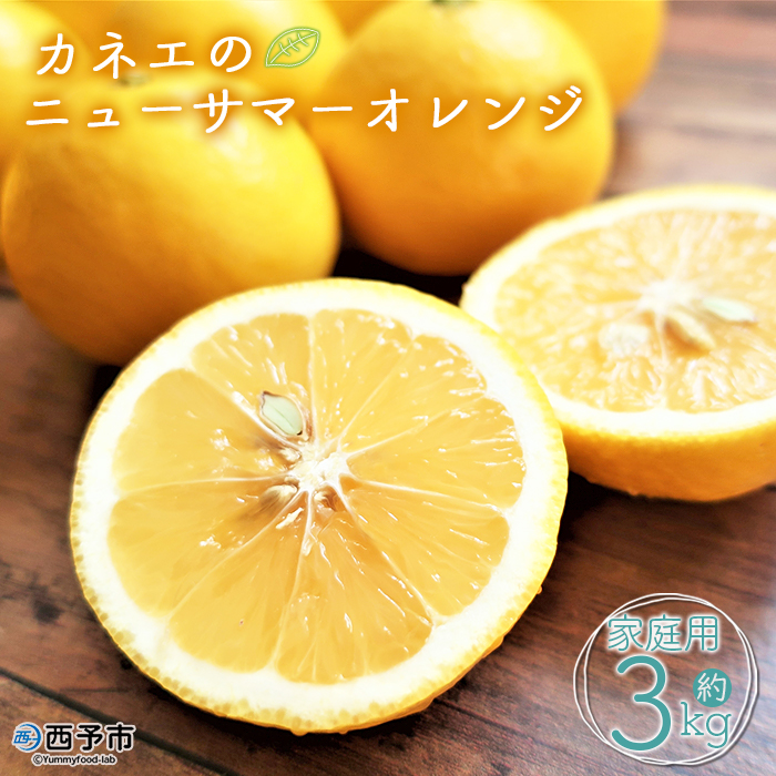 ＜カネエの西宇和産 越冬完熟ニューサマーオレンジ 家庭用 3kg前後＞ 家庭用 農家直送 果物 くだもの フルーツ ミカン 日向夏 小夏 食べて応援 特産品 いのうえ農園 愛媛県 西予市