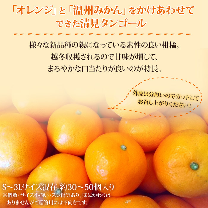 愛媛県西予市産 清見タンゴール ご家庭用 約7kg 