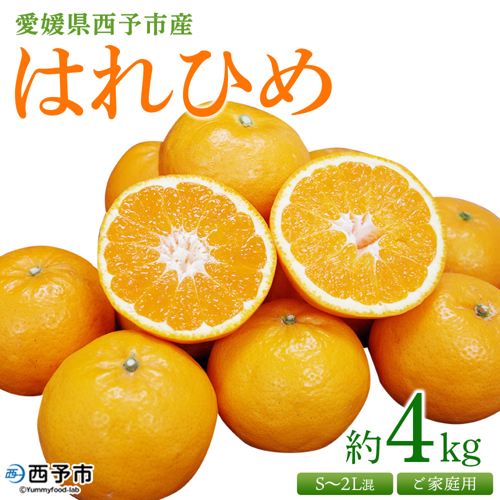 [愛媛県西予市産 はれひめ ご家庭用 約4kg] 訳あり ワケアリ 不揃い 果物 くだもの フルーツ みかん ミカン 柑橘 オレンジ ハレヒメ 媛県 西予市