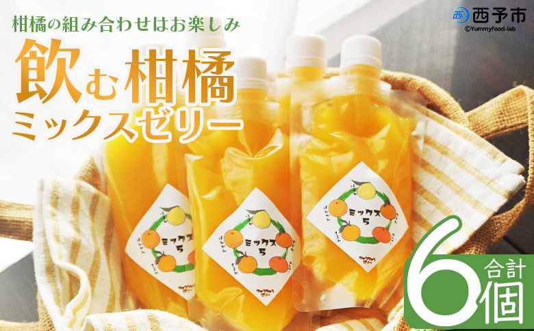 ＜つるんと食感の飲む柑橘ミックスゼリー 6個＞『1か月以内に順次発送予定』果物ゼリー くだもの ゼリー パウチ みかん 蜜柑 デザート スイーツ おやつ のむ ストレート 果汁 100％ 食感 ぷるぷる お楽しみ 渡江から一歩を踏み出す会 愛媛県 西予市 【常温】