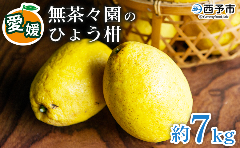 【先行予約】＜無茶々園のひょう柑 約7kg＞ フルーツ 果物 蜜柑 柑橘 ひょうかん 弓削瓢柑 期間限定 季節限定 特産品 愛媛県 西予市