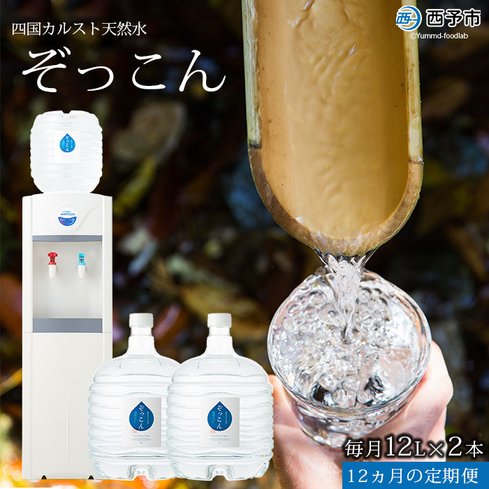 ＜四国カルスト天然水ぞっこん ガロンボトル12L・レンタルウォーターサーバーセット(毎月2本1年間の定期便)＞ 水 飲料 中硬水 弱アルカリイオン水 ウォーターサーバー 備蓄 防災 キャンプ アウトドア 特産品 ぞっこん四国 愛媛県 西予市