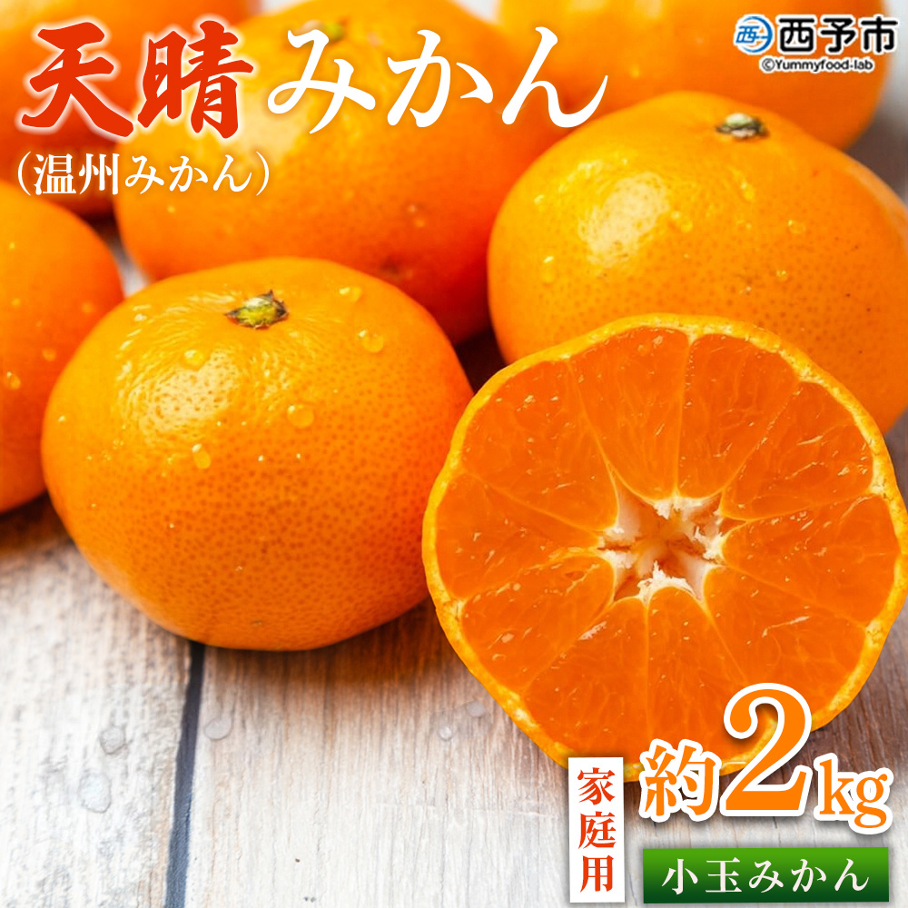 [愛媛県明浜産 天晴みかん(温州みかん)約2kg 小玉サイズ] 家庭用 訳あり ワケアリ 果物 くだもの フルーツ ミカン 柑橘 特産品 笑丸 愛媛県 西予市