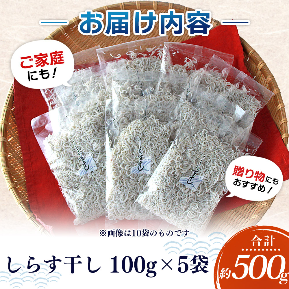 ＜漁師さん自慢のしらす干し 合計500g（100g×5パック）＞ シラス 魚介類 さかな 海産物 海鮮 海の幸 小分け 国産 ご飯のお供 丼 おつまみ 晩酌 おかず おやつ 特産品 産地直送 濵田水産 愛媛県 西予市