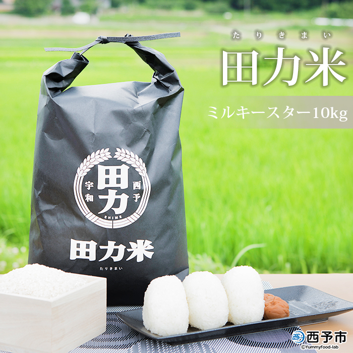 ＜令和6年産 田力米10kg ミルキースター＞ お米 おこめ コメ 愛媛県 西予市