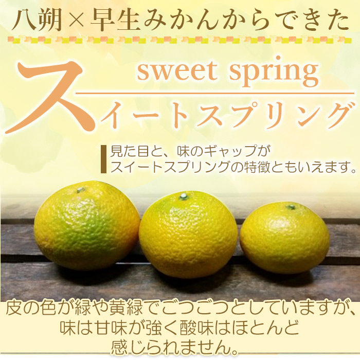 ＜愛媛県西予市産 スイートスプリング 家庭用 約８kg＞ 訳あり 果物 くだもの みかん ミカン 柑橘 フルーツ 産地直送 愛媛県 西予市