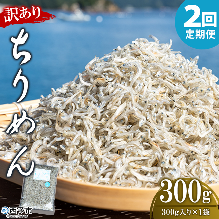 ＜訳あり ちりめん 合計300g（300g入り×1袋） 2回定期便＞ 選べる 定期便 天日干し お徳用 しらす シラス じゃこ 小分け 魚 小魚 海産物 加工品 おにぎり おつまみ おやつ 家庭用 特産品 網元・祇園丸 愛媛県 西予市