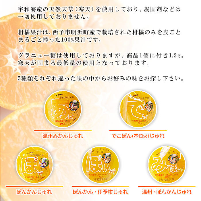 ＜愛媛の飲むみかんじゅれ 5種セット 計10個(5種類×各2個)＞ 飲むゼリー 果物 温州みかん 伊予柑 デザート スイーツ あけはまシーサイドサンパーク 贈答用 愛媛県西予市