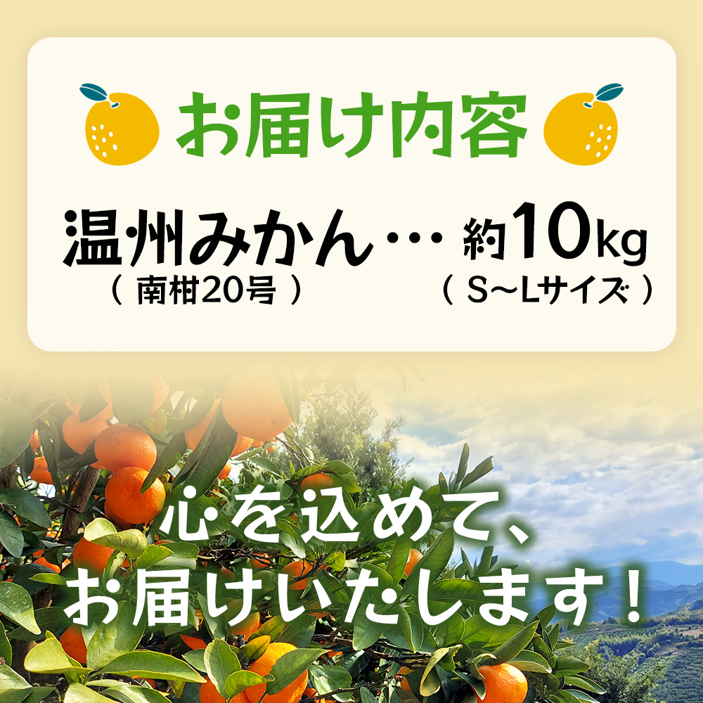 ＜温州みかん（南柑20号）約10kg＞ 果物 フルーツ みかん ミカン オレンジ 柑橘 JA 愛媛県 西予市