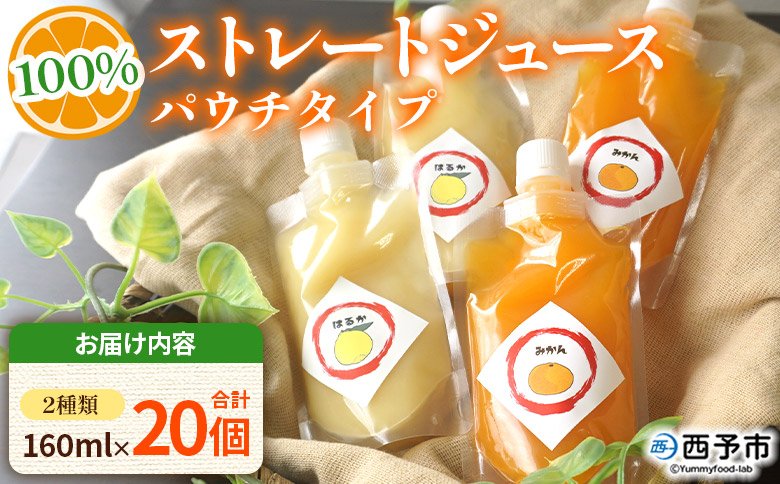 ＜100％ストレートジュース パウチタイプ 160ml×20個（2種類×10）＞『1か月以内に順次発送予定』種類はおまかせ 飲み比べ 果物 くだもの フルーツ 柑橘類 みかん 蜜柑 ミカン みかんジュース 飲料 渡江から一歩を踏み出す会 愛媛県 西予市【常温】