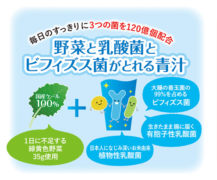 ＜【6回定期便】野菜と乳酸菌とビフィズス菌がとれる青汁＞ ケール 粉末 すっきり 契約農家 健康 濃縮野菜 無添加 ミネラル農法 化学農薬不使用 青汁 飲料 野菜不足解消 グリーンヒル ファンケル FANCL 愛媛県 西予市