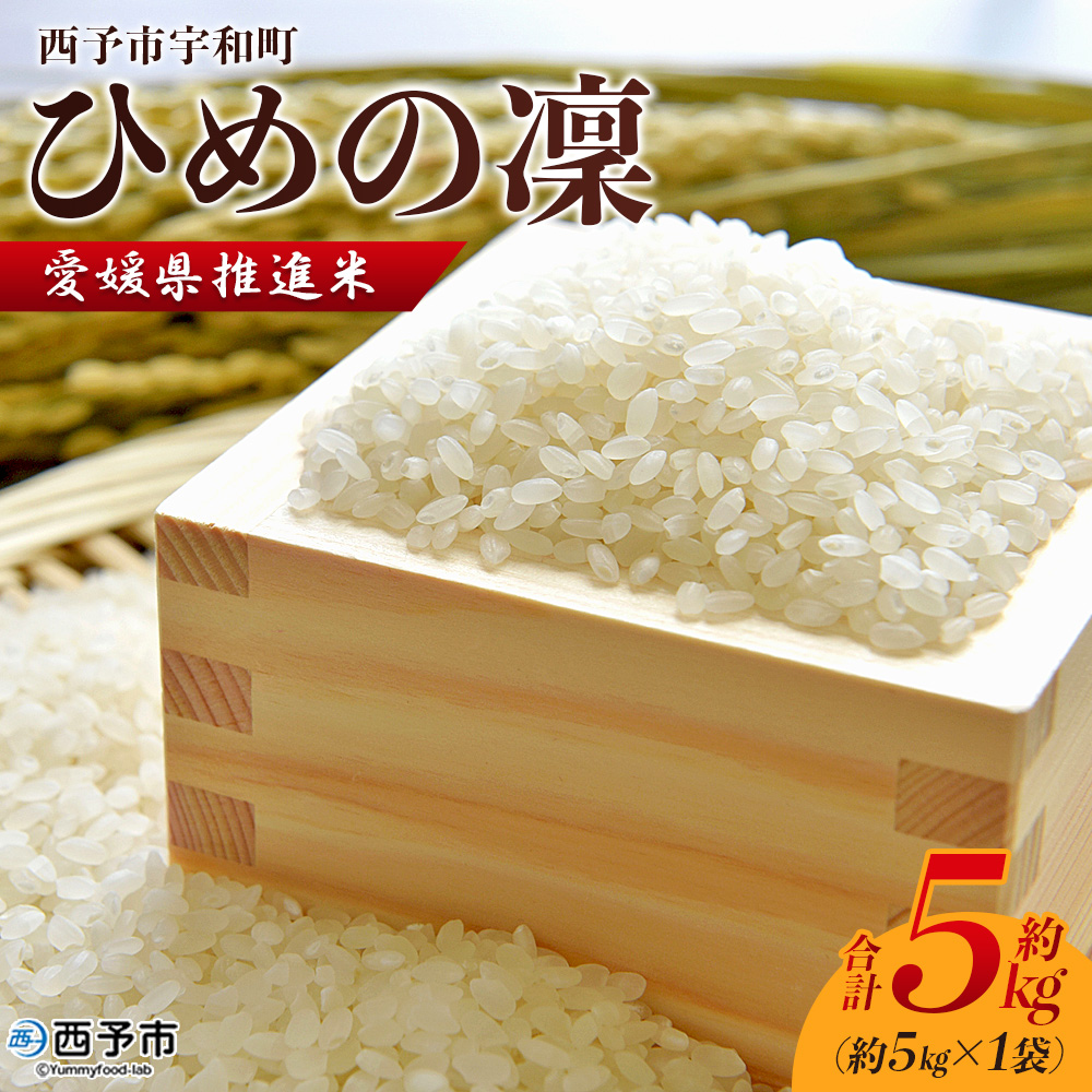 ＜愛媛県推進米 ひめの凜 約5kg＞ お米 コメ こめ 白米 精米 ご飯 ライス 穀物 ひめのりん ヒメノリン ヒメノ凜 ブランド米 大粒 ツヤツヤ 特産品 愛媛県産 西予市産 宇和町産 三好フク 愛媛県 西予市 【常温】『2025年11月中旬より順次出荷予定』
