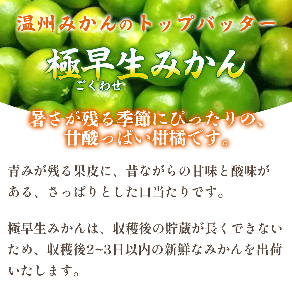 ＜愛媛県産 極早生みかん 約3kg ご家庭用＞ 温州みかん 家庭用 訳あり 果物 ミカン 柑橘 フルーツ 愛媛県 西予市