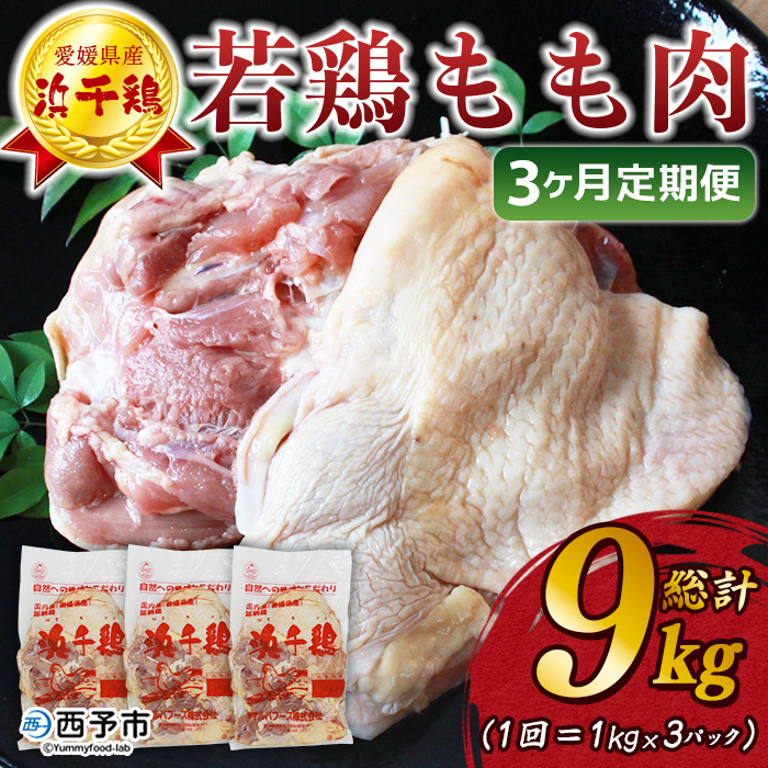 [[3ヶ月定期便]銘柄鶏 浜千鶏 愛媛県産 若鶏もも肉 3kg(1kg×3)] 国産 鶏肉 鳥肉 とり チキン モモ肉 はまちどり ブロック 精肉 にく 料理 アレンジ 夕飯 夕食 お弁当 昼食 唐揚げ から揚げ 焼き鳥 マルハフーズ株式会社 愛媛県 西予市
