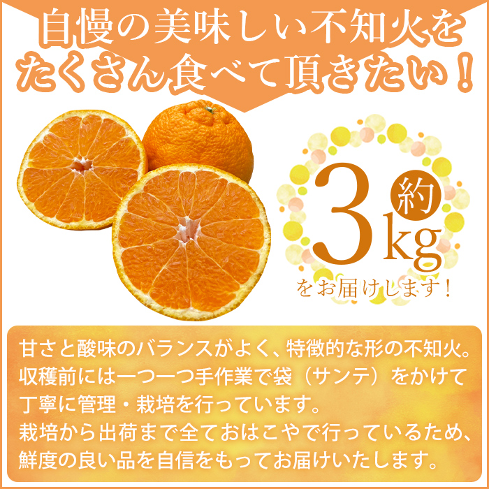 ＜おはこやがつくる おはこデコ（不知火）約3kg（L～3Lサイズ）＞ 果物 フルーツ 柑橘 しらぬい みかん 特産品 西宇和 愛媛県 西予市