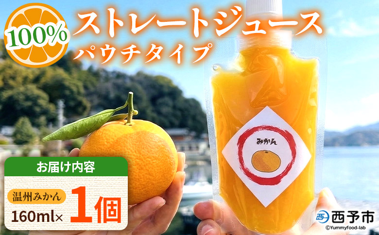 ＜温州みかん100％ストレートジュース パウチタイプ 160ml×1個＞『1か月以内に順次発送予定』果物 くだもの フルーツ 柑橘類 みかん 蜜柑 ミカン みかんジュース 飲料 渡江から一歩を踏み出す会 愛媛県 西予市【常温】