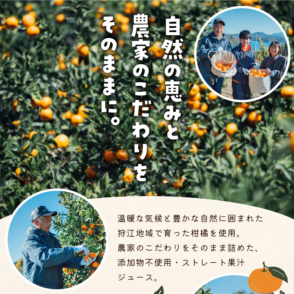 ＜農家めぐり 狩江柑橘ジュース 6選（温州みかん）＞ 温州みかん 南柑20号 愛媛県産 飲料 ジュース 国産 みかん 蜜柑 ミカン ストレートジュース 果汁 セット 詰合せ 6種 6本 企業組合かりエンジョイ 愛媛県 西予市 【常温】『4月中旬以降順次出荷予定』