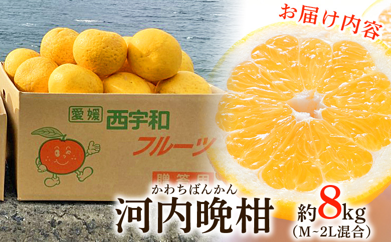 ＜愛媛県産 河内晩柑 約8kg（M～2L）＞ 柑橘 みかん フルーツ 和製グレープフルーツ ジューシー 初夏 旬 サイズ混合 西宇和 国産 さっぱり 甘い 農園オレンジとムラサキ 西予市
