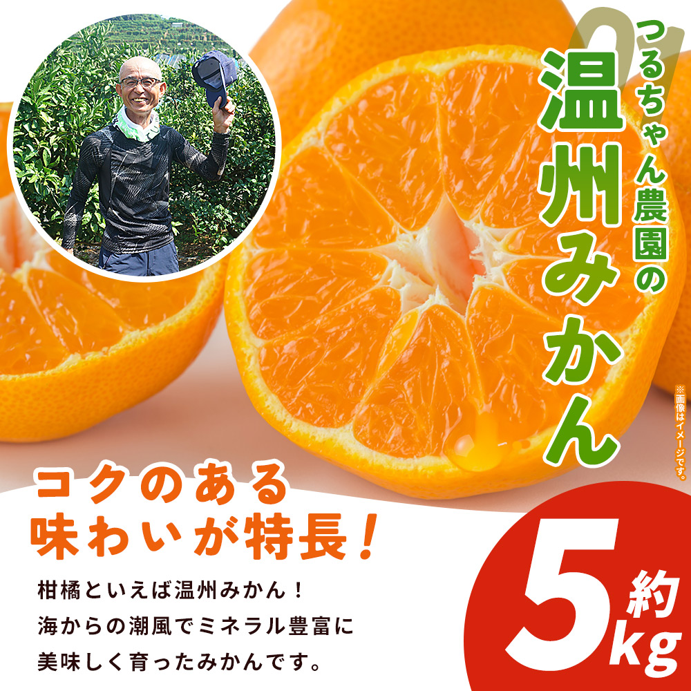 【予約受付】西予の美味しい柑橘セレクト（ご家庭用） /温州みかん 約5kg【11月頃から2027年1月中旬頃までに順次出荷予定】