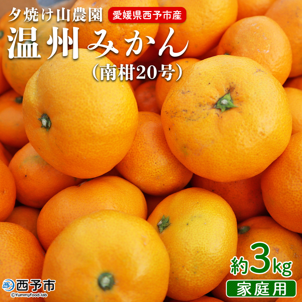 ＜夕焼け山農園 愛媛県西予市産 温州みかん 家庭用 約３kg（南柑20号）＞果物 フルーツ ミカン 柑橘 なんかん 訳あり  愛媛県 西予市