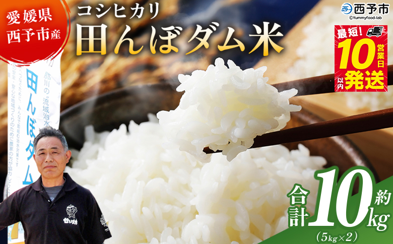 ＜令和7年産 愛媛県西予市産 コシヒカリ 田んぼダム米 10kg＞ ※最短10営業日以内に順次発送予定 10キロ こしひかり 西予応援米 宇和米 お米 コメ こめ 白米 精米 米 国産 愛媛県産 宇和町産 和みファーム 愛媛県 西予市