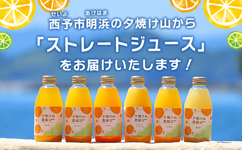 夕焼け山農園の柑橘ジュース 飲み比べセット　200ml×12本