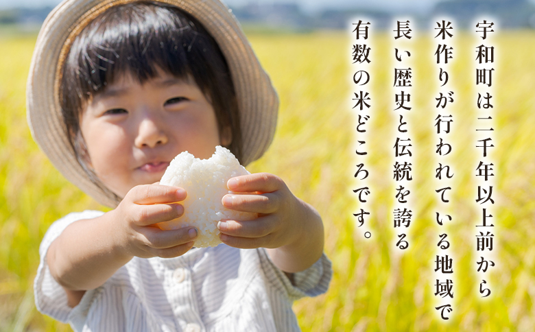 ＜令和7年産 愛媛県西予市産 コシヒカリ 田んぼダム米 5kg＞※最短10営業日以内に順次発送予定 5キロ こしひかり 西予応援米 宇和米 お米 コメ こめ 白米 精米 米 国産 愛媛県産 宇和町産 和みファーム 愛媛県 西予市