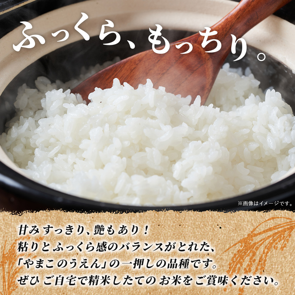 ïŒä»€å8å¹Žç£ ã¡ã»ã¿ã®ã çç±³ 10kgïŒãããŸã ç±³ ãã ã³ã¡ ã飯 ç©ç© 10ãã ç£å°çŽé æåªçç£ è¥¿äºåžç£ ç¹ç£å ããŸãã®ããã æåªç 西äºåž