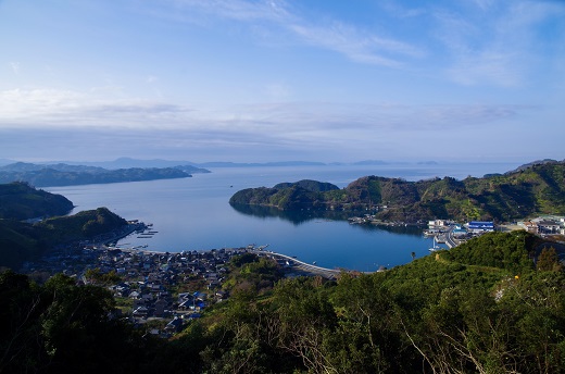 愛媛県明浜産 天晴みかんジュース ３本セット