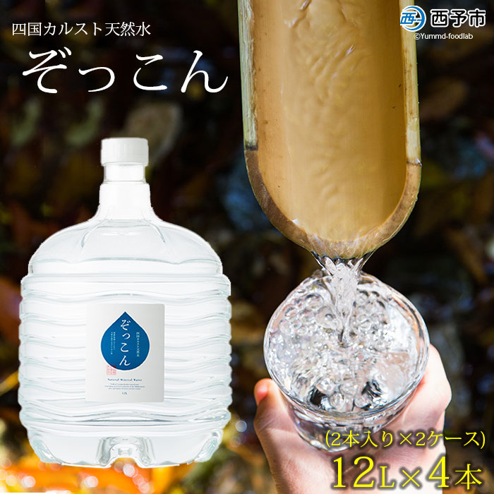 ＜四国カルスト天然水ぞっこん (12L×2本)×2ケース 計4本＞ 飲料 水 みず 中硬水 弱アルカリイオン水 ガロンボトル ウォーター バナジウム 備蓄 防災 キャンプ アウトドア 国産 特産品 ぞっこん四国 愛媛県 西予市