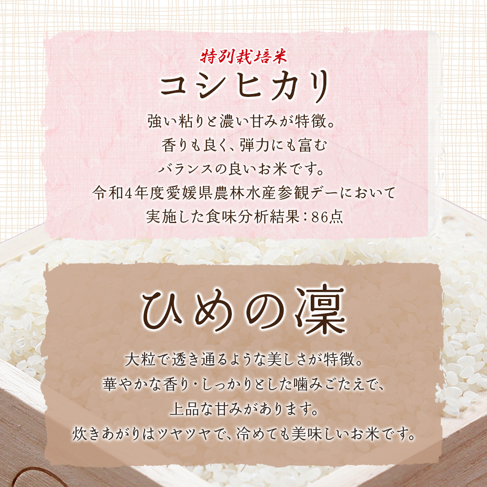 ＜令和7年産 西予市宇和町産 特別栽培米コシヒカリ・ひめの凜 食べ比べセット（各約5kg）＞ お米 コメ こめ 白米 精米 単一原料米 穀物 こしひかり ひめのりん 朝食 低農薬 特産品 三好フク 愛媛県