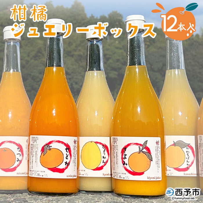 ＜西予市産柑橘ジュエリーボックス 720ml×12本入り（無添加果汁100％ジュース）＞ みかん 柑橘 果物 フルーツ ぽんかん しらぬい せとか 紅まどんな 愛媛県 西予市