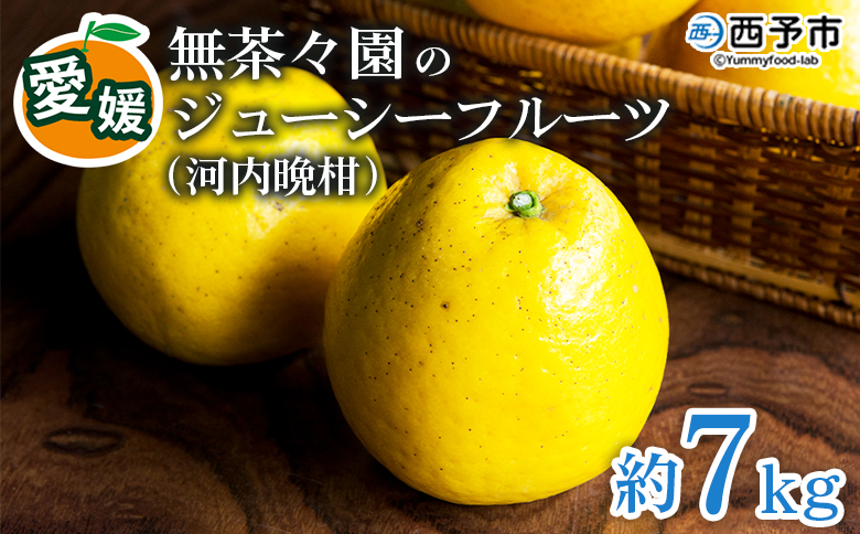 ＜無茶々園のジューシーフルーツ（河内晩柑）約7kg＞ 果物 フルーツ かわちばんかん みかん ミカン 蜜柑 柑橘 期間限定 季節限定 食べて応援 特産品 愛媛県 西予市